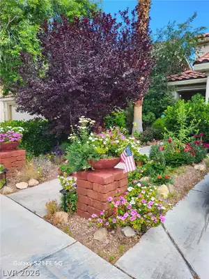 1428 Calle Montery Street, Las Vegas, NV 89117 Yard