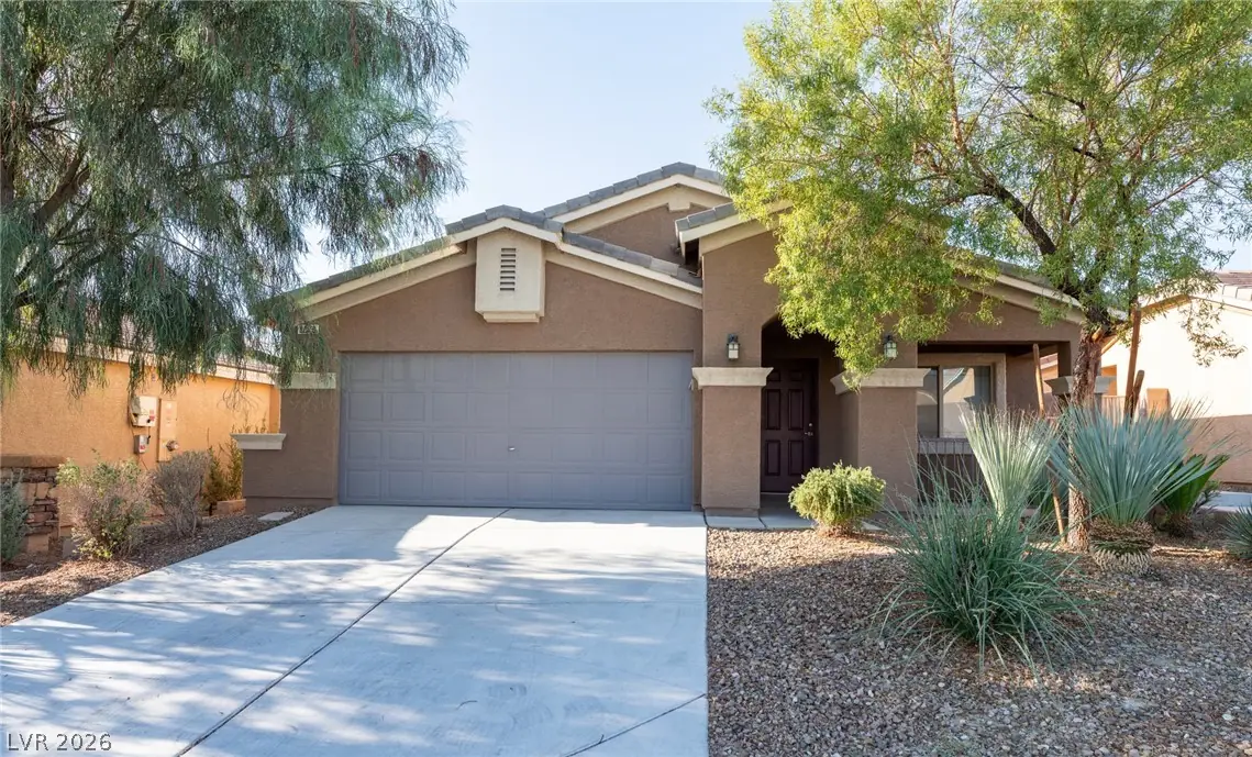 8079 Buffalo Ranch Avenue