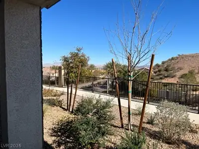 76 Kimberlite Drive, Henderson, NV 89011 Yard