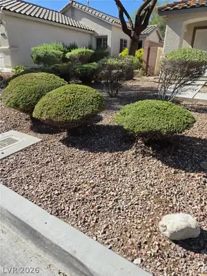 10510 PERFECT PEACE Lane, Las Vegas, NV 89135 Yard