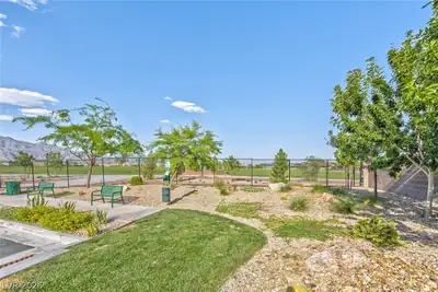 4118 Venus Falls Avenue, North Las Vegas, NV 89084 Yard