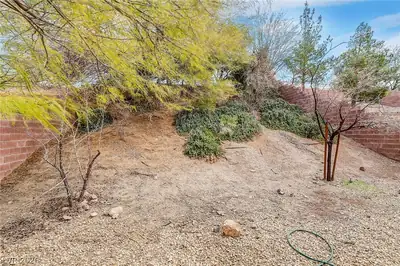 1172 Drowsy Water Court, Henderson, NV 89052 Yard