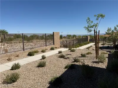 12548 Alpine Creek Place, Las Vegas, NV 89138 Yard