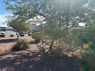 5430 Centurion Court 203, Las Vegas, NV 89122 Yard