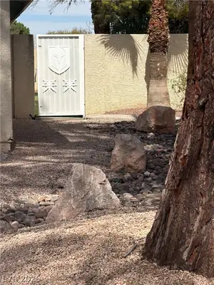 3126 Belvedere Drive, Henderson, NV 89014 Yard