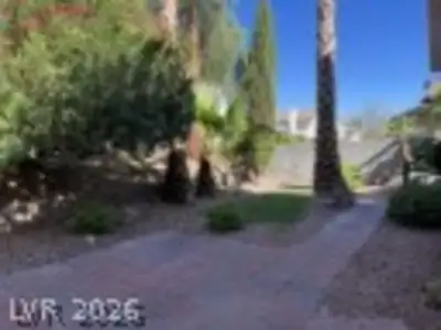 291 Manzanita Ranch Lane, Henderson, NV 89012 Yard