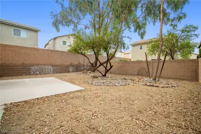 9132 BLUE RAVEN Avenue, Las Vegas, NV 89143 Yard