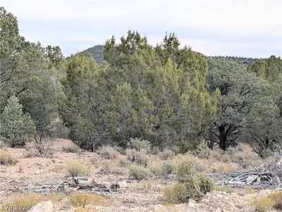 Lot 1-B Side Hill Pass Pioche, NV 89043