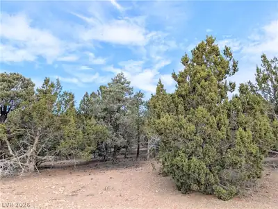 Lot 1-B Side Hill Pass, Pioche, NV 89043 Lot