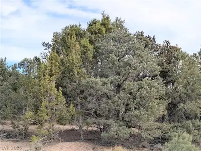 Lot 1-B Side Hill Pass, Pioche, NV 89043 Lot