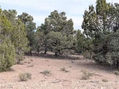 Lot 1-B Side Hill Pass, Pioche, NV 89043 Lot