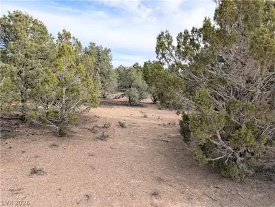 Lot 1-C Side Hill Pass Pioche, NV 89043