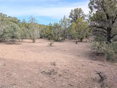 Lot 1-C Side Hill Pass, Pioche, NV 89043 Lot