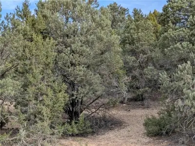 Lot 1-C Side Hill Pass, Pioche, NV 89043 Lot