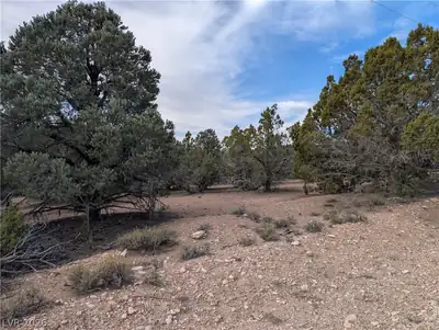 Lot 1-D Side Hill Pass Pioche, NV 89043