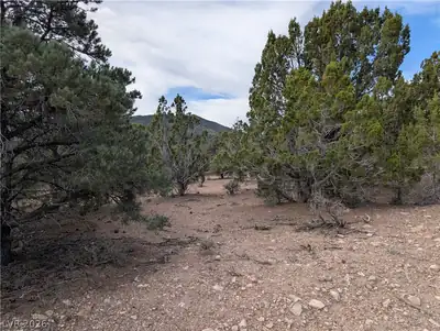 Lot 1-D Side Hill Pass, Pioche, NV 89043 Lot
