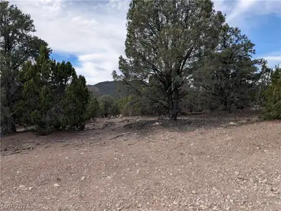 Lot 1-D Side Hill Pass, Pioche, NV 89043 Lot