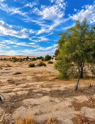 575 Cooper Street, Overton, NV 89040 