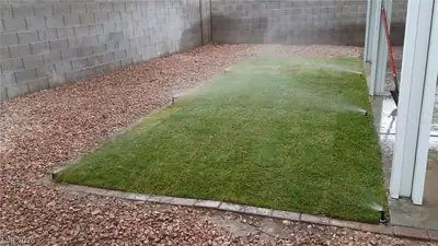 8104 Pursuit Court, Las Vegas, NV 89131 Yard