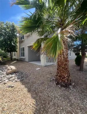 8974 Ellenbrook Street, Las Vegas, NV 89148 Yard