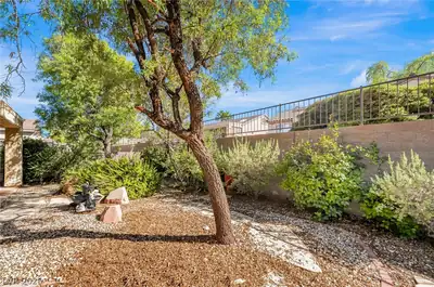 2573 Shellsburg Avenue, Henderson, NV 89052 Yard