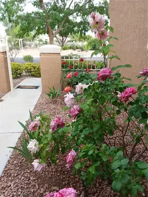 2741 SUNGOLD Drive, Las Vegas, NV 89134 