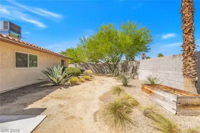 3942 Avocado Drive, Las Vegas, NV 89103 Yard
