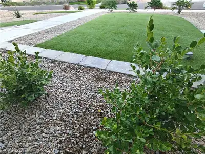 9522 Teton Vista Avenue, Las Vegas, NV 89117 Yard