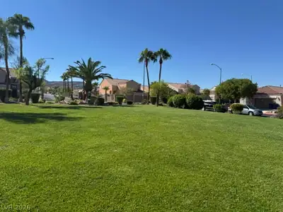 1373 Gran Vista Avenue, Henderson, NV 89012 Yard