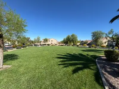 1373 Gran Vista Avenue, Henderson, NV 89012 Yard
