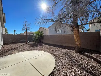 7873 Blue Brook Drive, Las Vegas, NV 89147 Yard