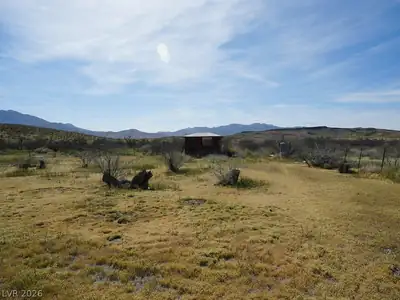 4031 Moapa Street, Pahrump, NV 89048 Yard