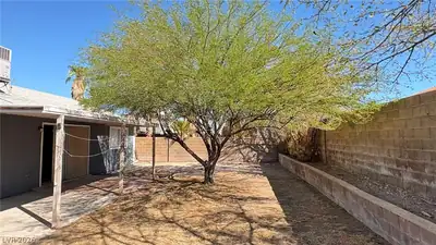 7805 APLIN Avenue, Las Vegas, NV 89145 Yard