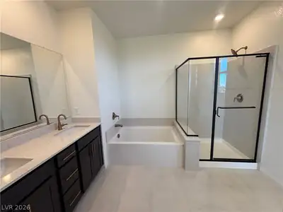 172 Silver Run Lane, Las Vegas, NV 89138 Primary Bathroom
