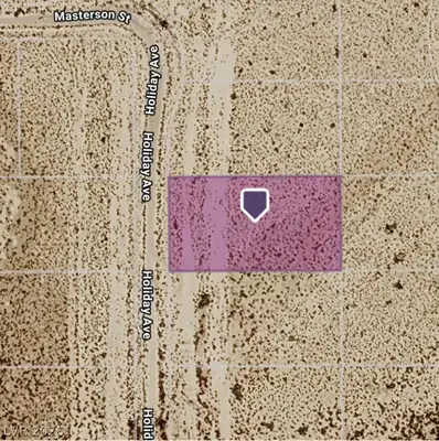 3891 South Holliday Avenue, Pahrump, NV 89048 Plat Map