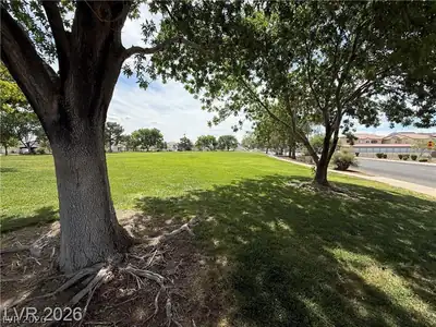 833 Aspen Peak Loop 922, Henderson, NV 89011 Yard