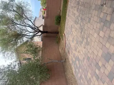 7020 Placid Lake Avenue, Las Vegas, NV 89179 Yard