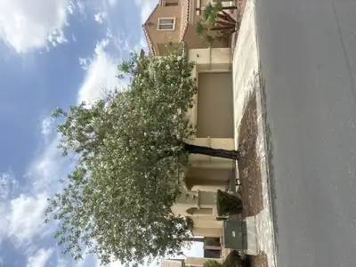 8116 Celina Hills Street, Las Vegas, NV 89131 Front of Structure