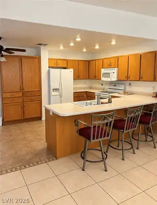 664 Lillian Condie Road, Overton, NV 89040 