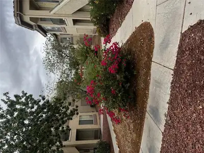 5710 East Tropicana Avenue 1094, Las Vegas, NV 89122 Yard