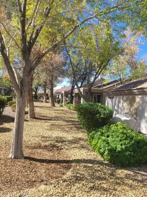 2085 High Mesa Drive, Henderson, NV 89012 Yard
