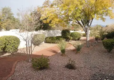 9960 Bundella Drive, Las Vegas, NV 89134 Yard