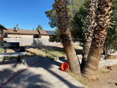 3130 Aloha Avenue, Las Vegas, NV 89121 Yard