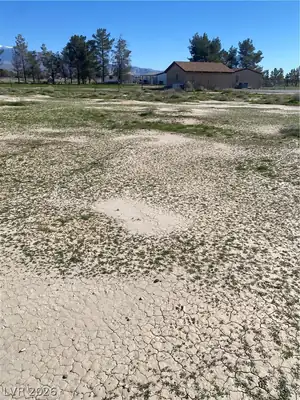 2830 Stardust Street, Pahrump, NV 89060 Yard