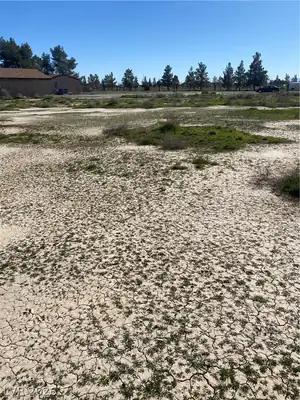 2830 Stardust Street, Pahrump, NV 89060 Yard