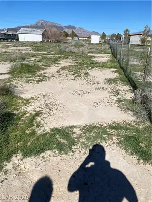 2830 Stardust Street, Pahrump, NV 89060 Yard