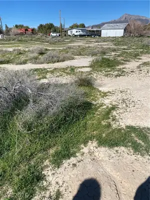 2830 Stardust Street, Pahrump, NV 89060 Yard