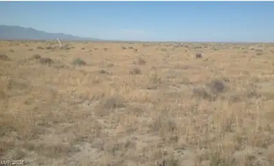 0507340 SEC: 1 TWN: 36N RNG: 33E Lot 5, Other, NV 89445 Lot