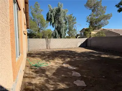 10641 Lace Vine Arbor Avenue, Las Vegas, NV 89144 Yard