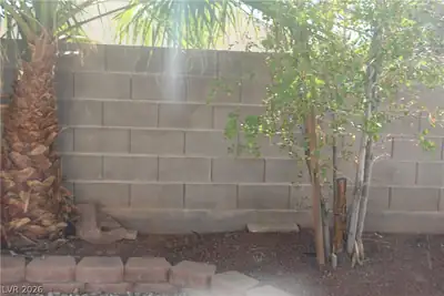 705 Alecandro Daniel Avenue, North Las Vegas, NV 89031 Yard